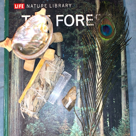 “The Ultimate Protection” Smudge Set w Angel Aura Quartz Complete Protection Set - Picture 4 of 16